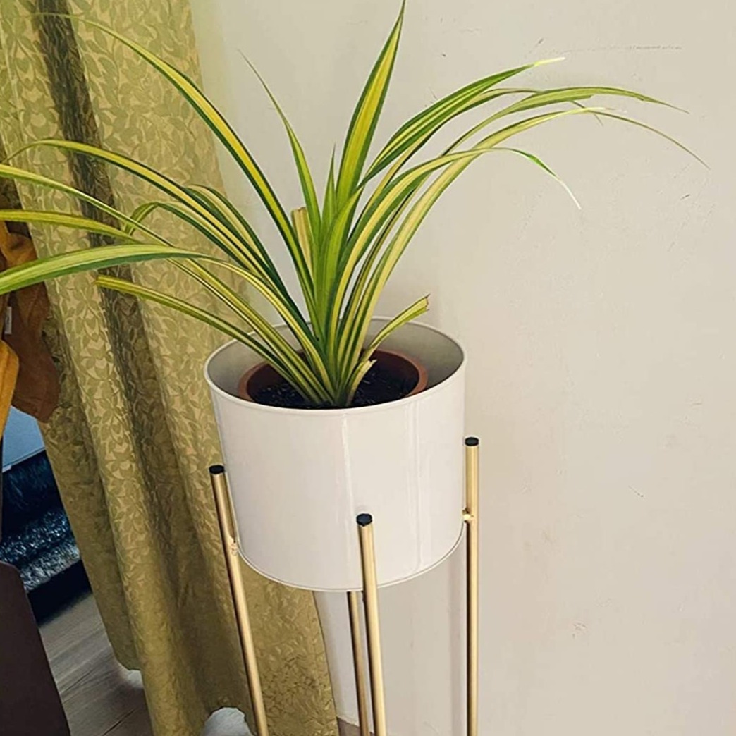 Leonardo Home Décor Planter - front_view