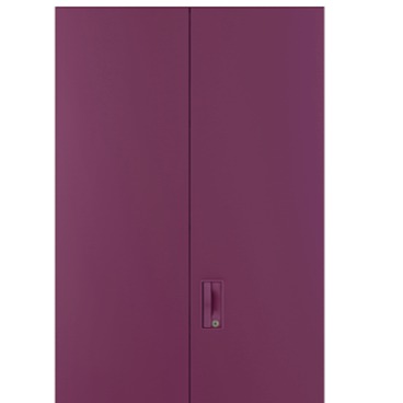 2 Door Steel Almirah - front-view