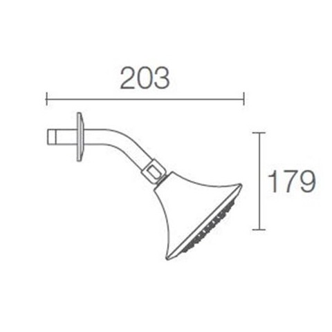 Kohler Finial Traditional 140mm Single-function Showerhead with shower arm and flange K-16351IN-CP - top-view