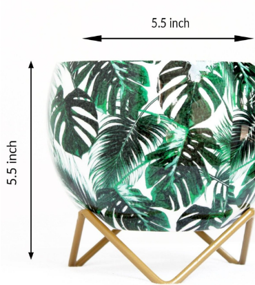Monstera Deliciosa Leaves Metal Pot 5" - rear_view