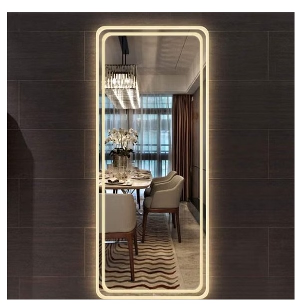 Square Bathroom Mirror with 3 Colors Lights, LED Mirror for Wall Mirror (20*48 inch) - front_view
