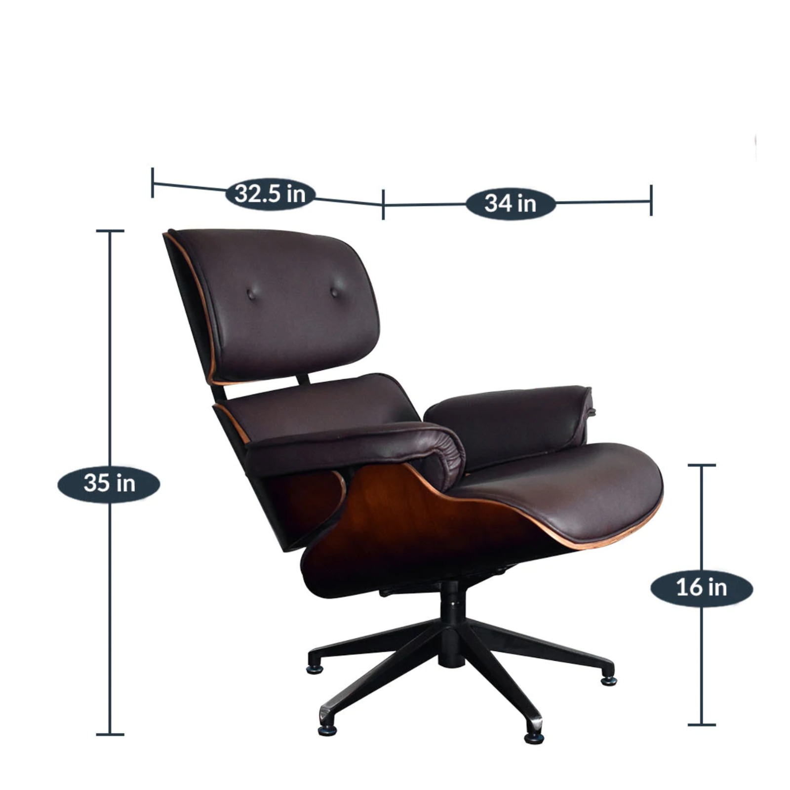 Shark Tank @2026 Iconic Lounge Chair - top_view