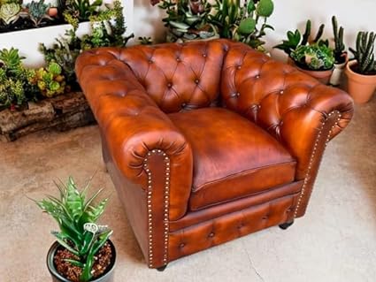 Orleans Single Seater Leather Sofa for Home,Living Room,Hall - rear_view