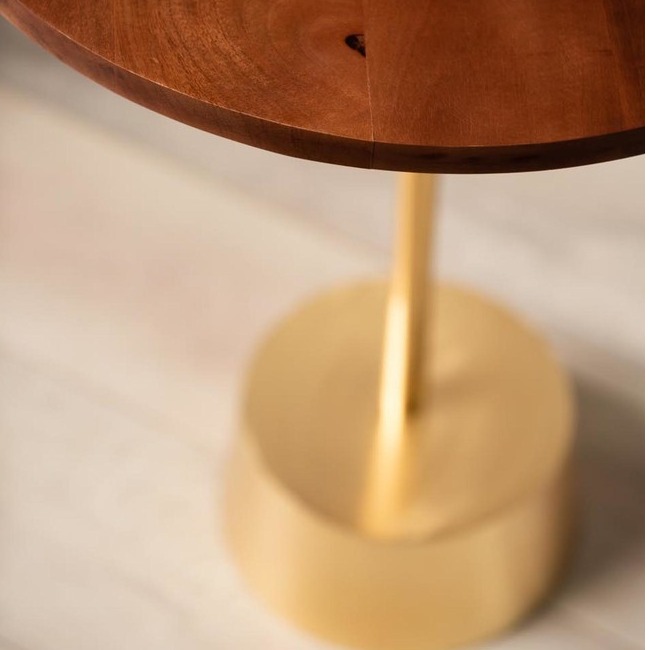 Bristol End Table In Walnut & Gold Colour - rear_view