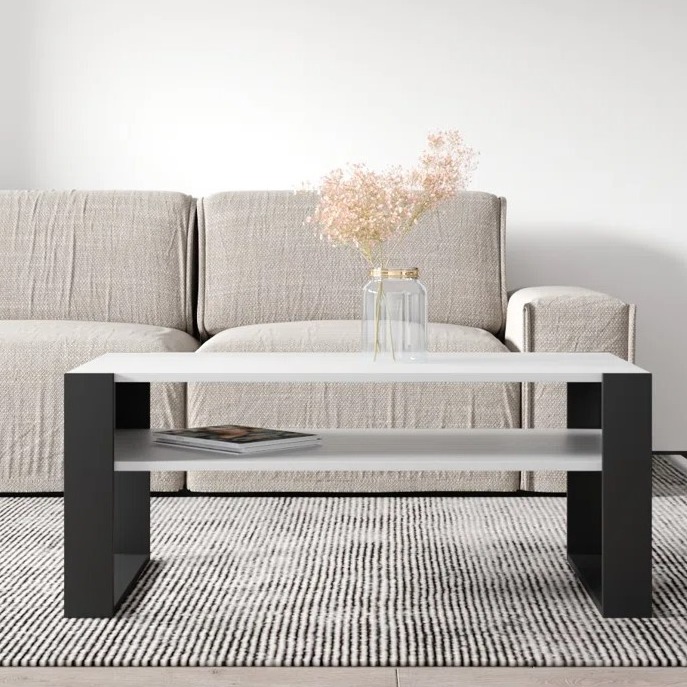 Marin Engineered wooden coffee Table(White & Dark Brown) - front_view