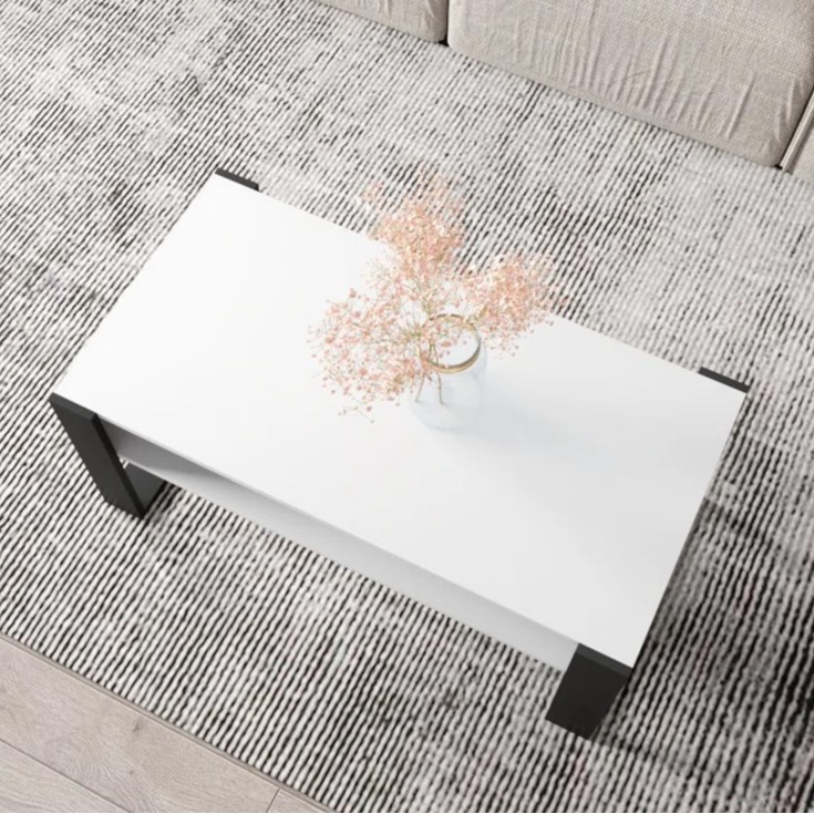 Marin Engineered wooden coffee Table(White & Dark Brown) - top_view